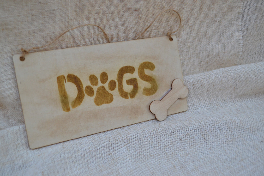 ¿Quieres que tu mascota tenga su rincón especial? Descubre nuestro colgador Dog de Kimori