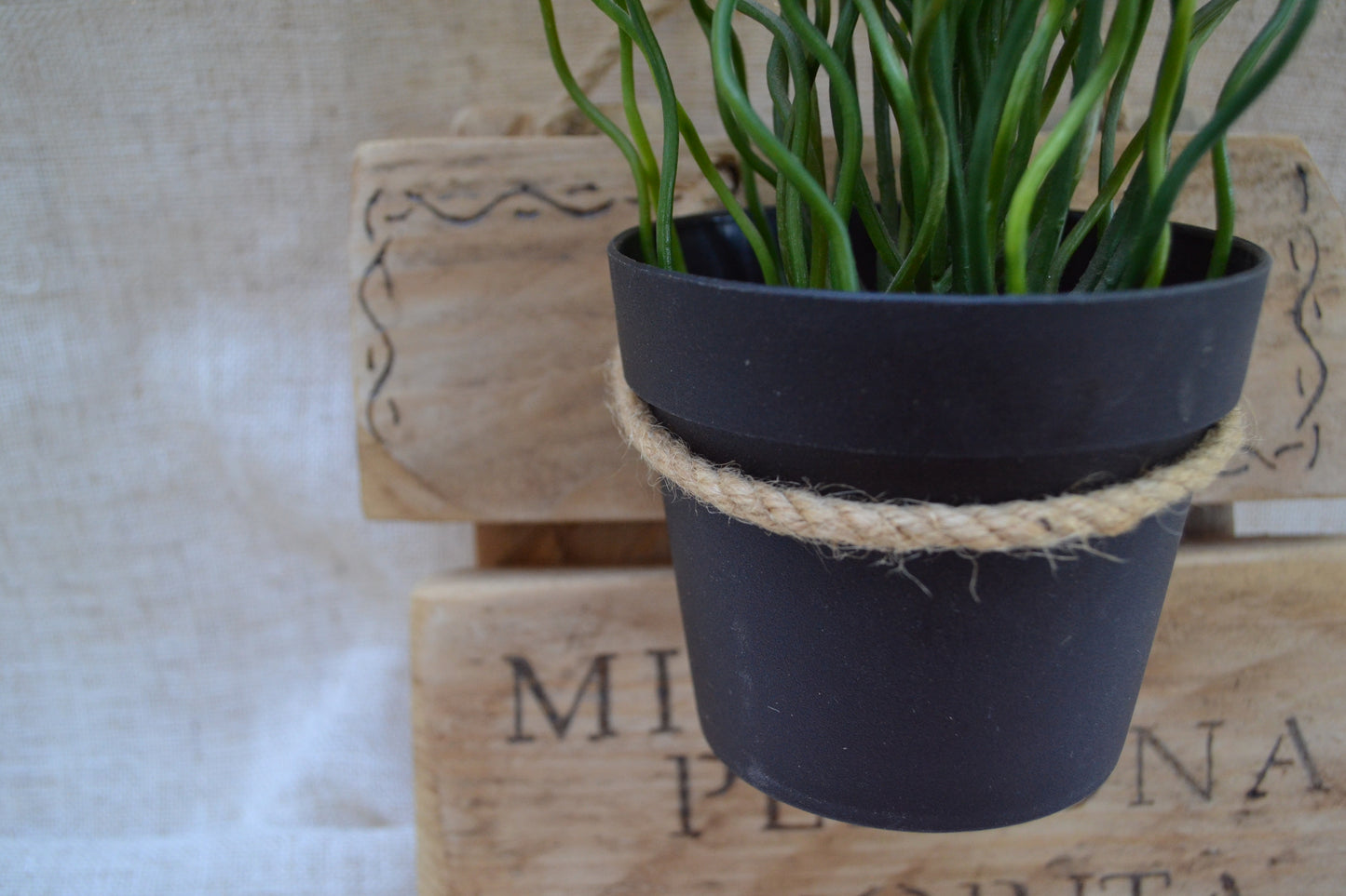 COLGADOR DE PLANTAS
