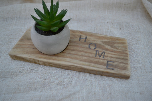 Base Decorativa de Madera con Mini Cactus