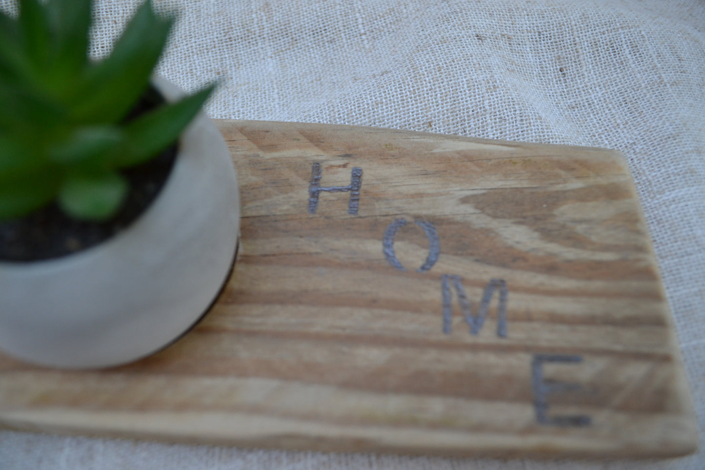 Base Decorativa de Madera con Mini Cactus