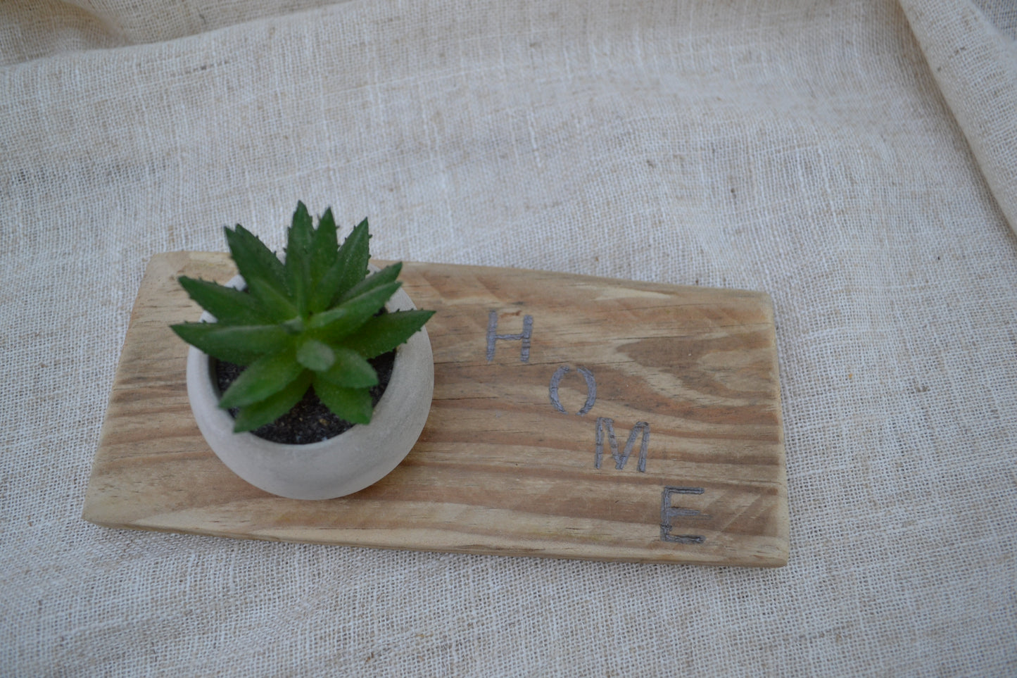 Base Decorativa de Madera con Mini Cactus