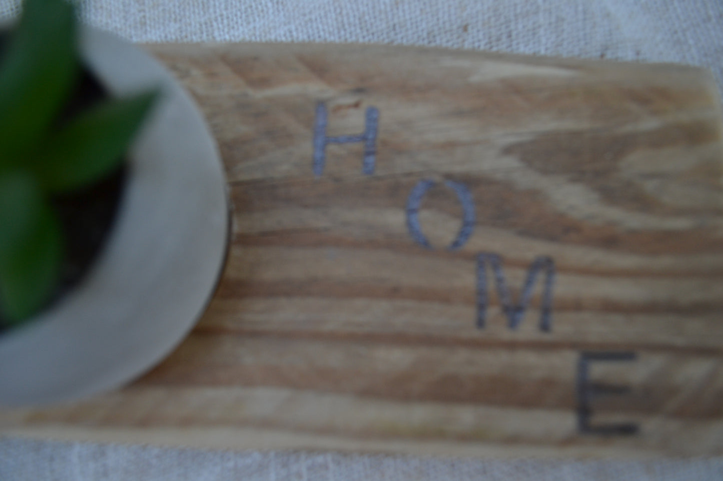 Base Decorativa de Madera con Mini Cactus